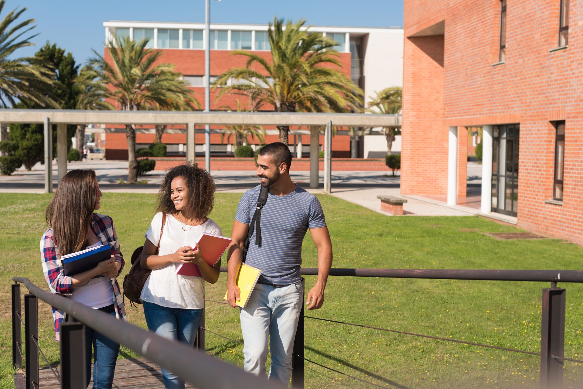 Estudiantes en campus universitario